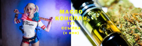 твердый Горняк