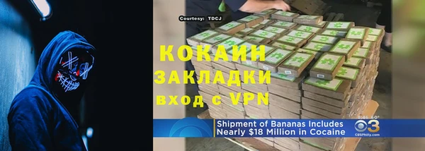 твердый Горняк