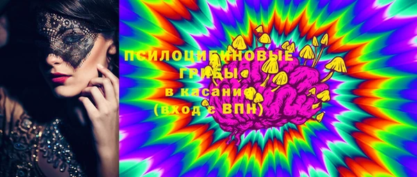 дмт Гусь-Хрустальный
