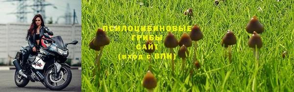 мдпв Гусиноозёрск