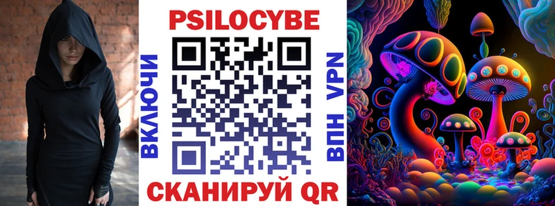 где можно купить   OMG   Галлюциногенные грибы Magic Shrooms  Хасавюрт 